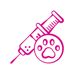 ikonice-ljubimci-ambulante