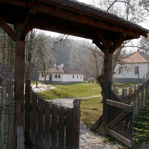 Brankovina 3