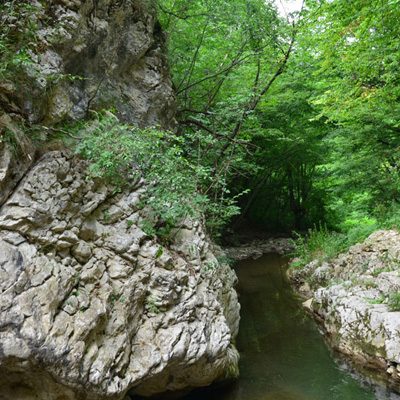 Jablanica