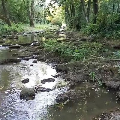 Obnica