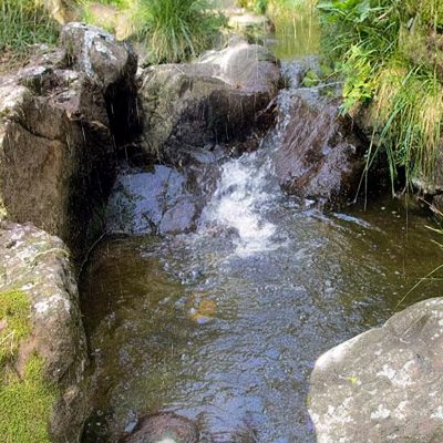 canci