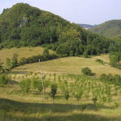 jablanik