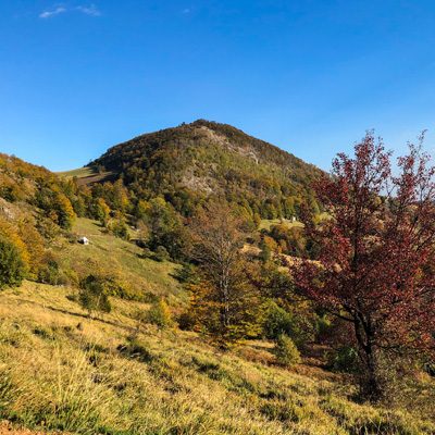 mali-povlen