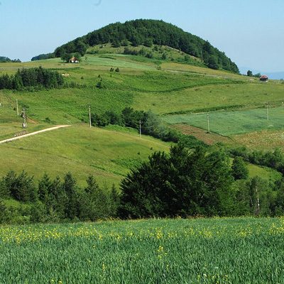 medvednik