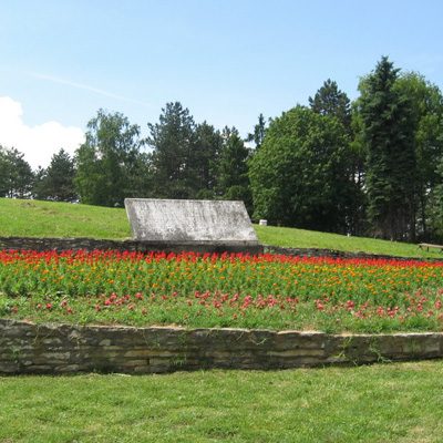 vidrak-park